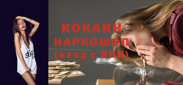 гашик Алексин