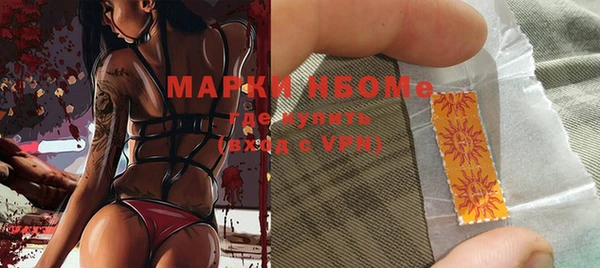 гашик Алексин