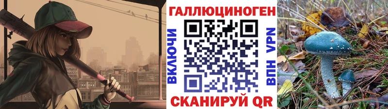 Псилоцибиновые грибы GOLDEN TEACHER  купить наркотики цена  darknet как зайти  Опочка 